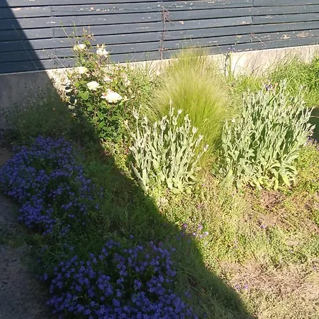 Charmante Maison Aigondigne